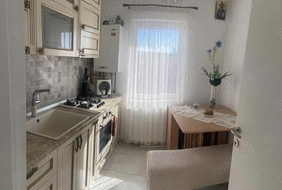 Apartament cu 2 camere decomandat în Vișani - 7