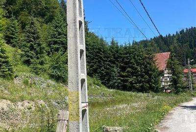 IDEAL INVESTITIE TEREN PREDEAL, 1936 mp intravilan, toate utilitatile, padure - 6