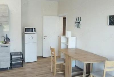 Garsoniera de inchiriat spre iesirea Zizin - 2