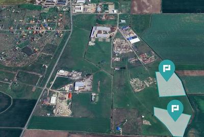 Teren intravilan de 29,970mp Sacalaz Teren intravilan de 29,970mp Sacalaz - 2