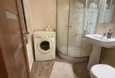 Garsoniera iancului-metrou 5 minute - 7