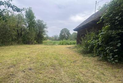 Teren Construcții intravilan de 2352 mp, în Pachia - 4