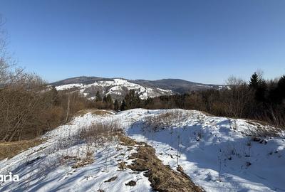 Teren de 21053 mp, în Vama - 4
