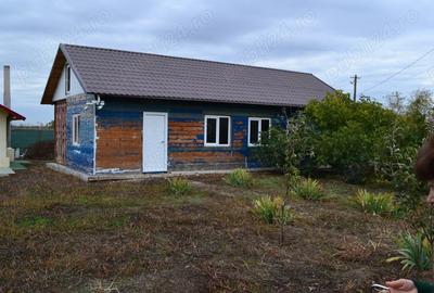 Casa + teren 3.500 mp + anexe gospodare?ti Scor?aru Vechi - 7