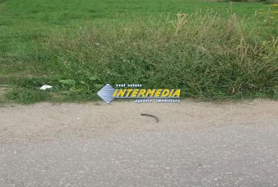 Teren Construcții intravilan de 1300 mp, în Bărăbanț - 3