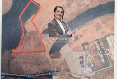 Teren de 10000 mp, în Sud - 1