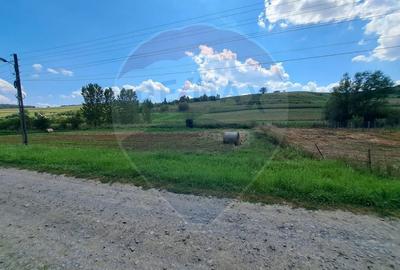 Teren de 2000 mp, în Lăureni - 2