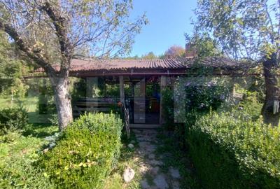 Teren extravilan 73 ari + cabana+lac de pesti,zona Slatinita - 2