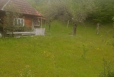 Casă cu 6 camere cu Teren 3250 Mp în Avram Iancu - 4