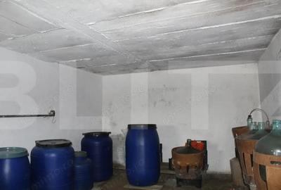 Casă cu 3 camere cu Teren 2880 Mp în Boroșneu Mare - 16