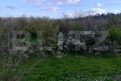 Teren de 99930 mp, în Central - 2