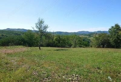 Teren de 8757 mp, în Luncoiu de Sus - 1