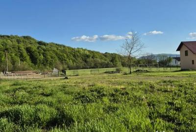 Casă cu 3 camere cu Teren 3100 Mp în Făurești - 2