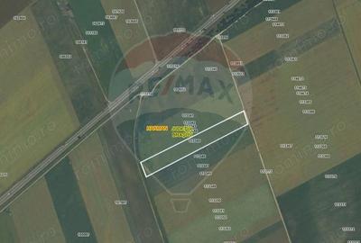 Teren de 23000 mp, în Hărman - 1