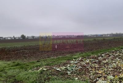 Teren Construcții intravilan de 2250 mp, în 1 Decembrie - 10