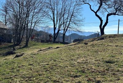 Teren intravilan 2500 mp Fundata la 15 km de  zona Bran-Moeciu - 2