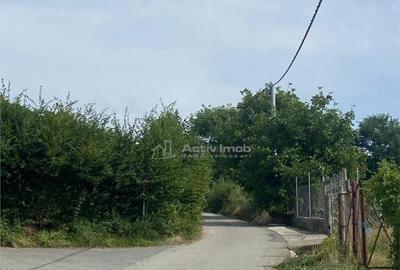 Teren de in Rasinari posibilitate de racordare la curentul - 15