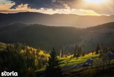 Teren de 26350 mp, în Vama - 3