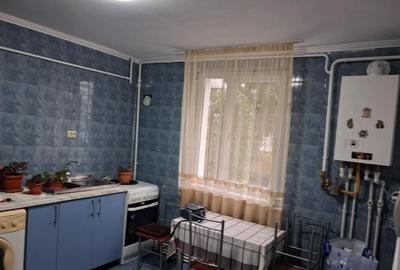 Apartament o camera 34mp parter inalt Asirom la cheie renovat centrala - 4