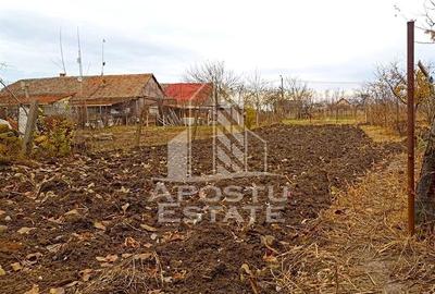 Teren 1000mp Cu Utilitati Dudesti Noi - 4