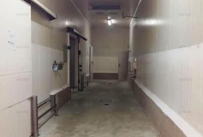 Spațiu industrial, de 1,000 mp, în Bartolomeu