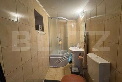 Casa cu 4 camere in Vetel - 5