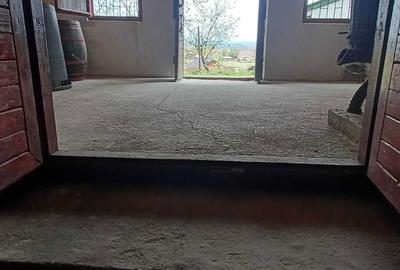 Casă în Petreu - 3