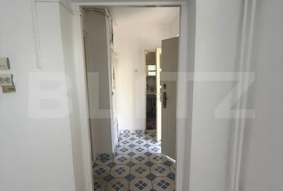 Spatiu comercial, 47mp,  zona vest - 4