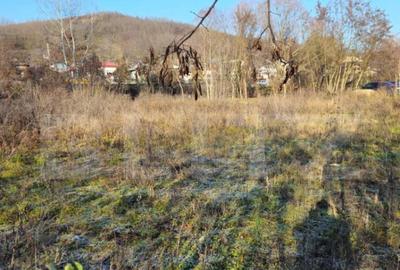 Teren intravilan, 738 mp, zona Viforata, Comision 0 - 4