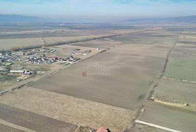 Teren Extravilan, P.U.Z. inceput - 9