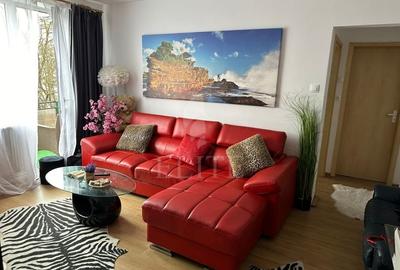 Apartament 2 camere în zona LIVIU REBREANU - 11