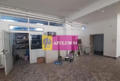 Centru de afaceri cu vad comercial - 4