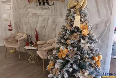 Spatiu 100 mp,ideal cabinete medicale,3 cai de acces,curent trifazic,Tractorul,Brasov - 20