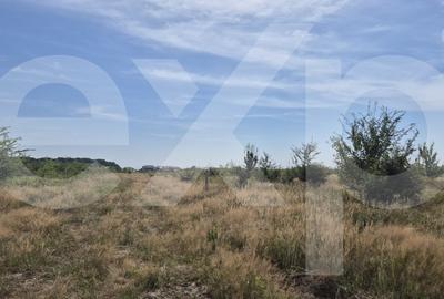 Teren Construcții intravilan de 500 mp, în Trivale - 2