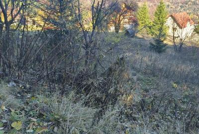 Teren în Central - 5