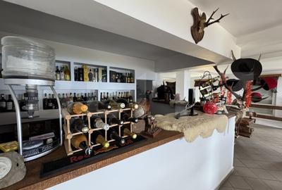 Casă individuală cu 25 camere cu Teren 1001 Mp în Central - 9