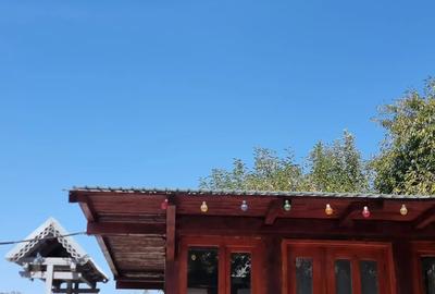 Vand Casa Gioseni,Bacau - 3