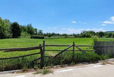 Teren de 1330 mp, în Negrești - 2