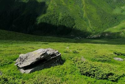 Teren de 185000 mp, în Padeș - 3