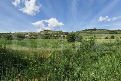 Teren de 4800 mp, în Central