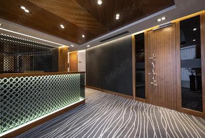 Birouri premium de inchiriat in Herastrau Office Building, mobilat integral la standarde de lux - 10