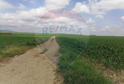 Teren 10,000mp Bacau / Strada Poligonului - 2