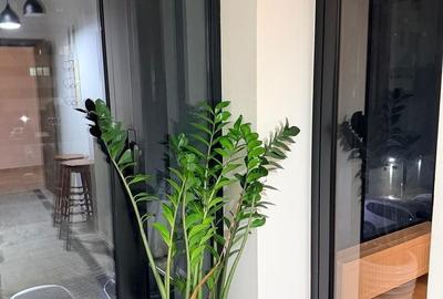 Apartament cu 2 camere decomandat, mobilat în Chiajna - 16
