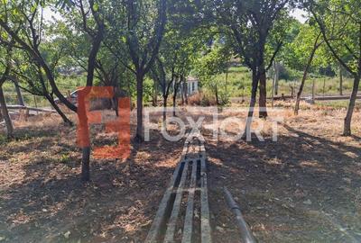 COMISION 0% - Casa individuala 5 camere cu teren 1348 mp - Giarmata - 34