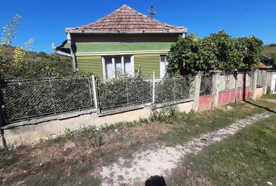 Casă cu 3 camere în Cicău - 4