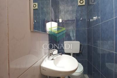 Birou de inchiriat // Domenii // Mihalache - 9