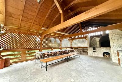 Pensiune de vanzare in Belis - capacitate 23-25 persoane - 12