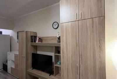 Garsoniera de inchiriat in zona Badea Cartan - 2