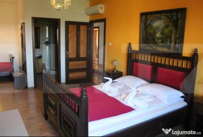 Casă cu 7 camere cu Teren 3000 Mp în Central - 10