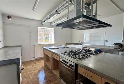 Transilvania Camping,domeniu de 14.400mp,Sanmarghita de Mures:2cladiri, apartame - 47